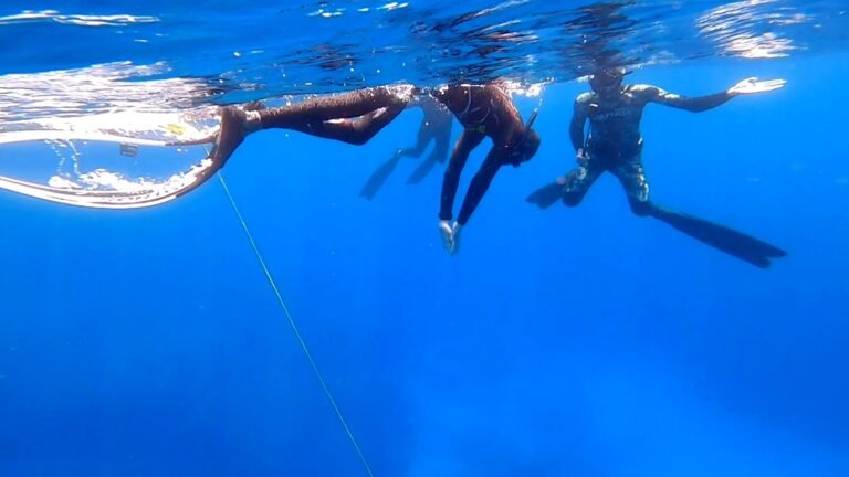 The duck dive