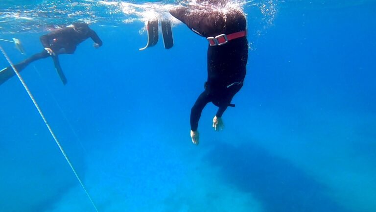 Duck dive moves