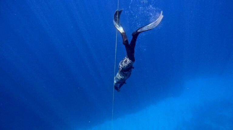 The fin moves in the three phases of descent