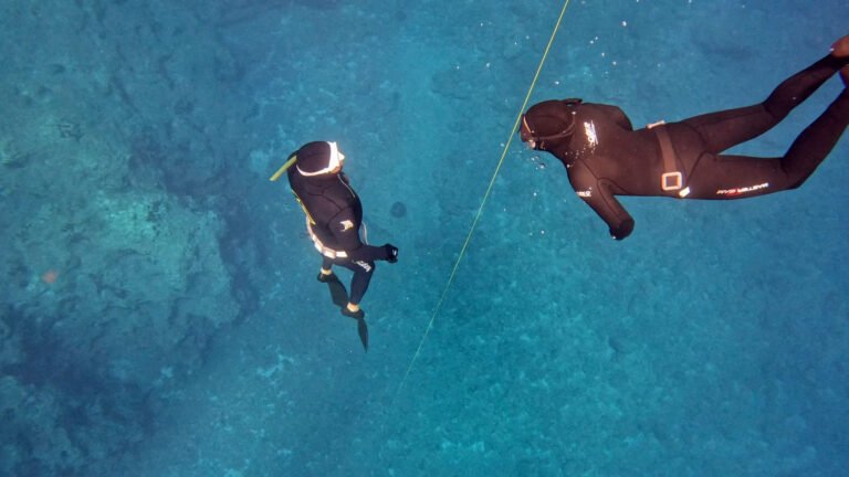 Steps 1, 2 and 3 of the ascent: taking an up-right position, detachment from the seabed and a small fin stroke