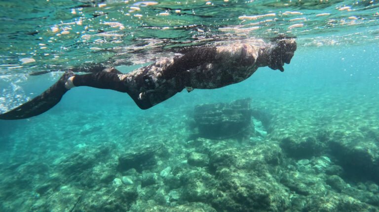 Surface swimming part 2: Position of the body