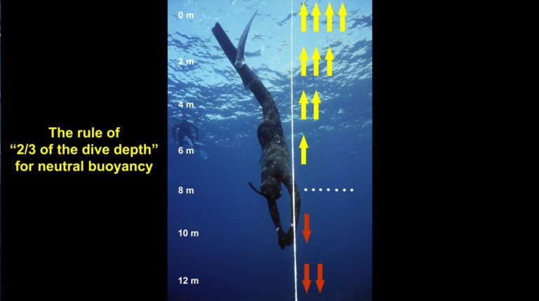 Buoyancy adjustment before each dive