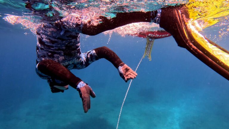 The Duck dive - Part 1