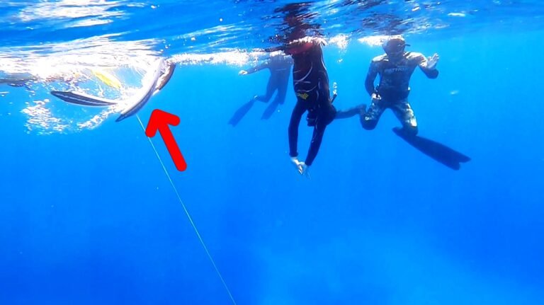 The Duck dive - Part 2: Move by move