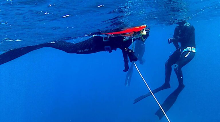 The buddy system after the dive