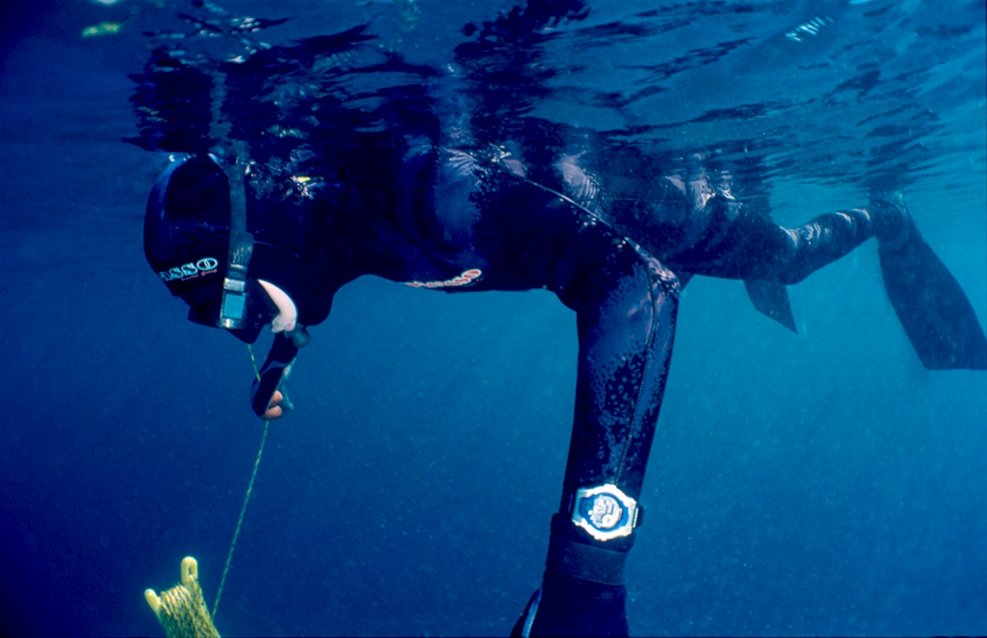 Master Freediver
