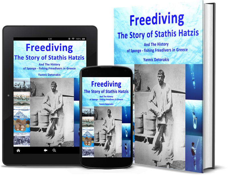 Book available in print and digital format