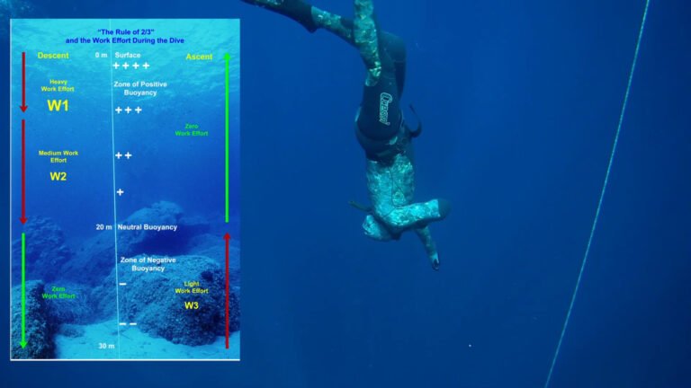 Buoyancy adjustment for deep freediving