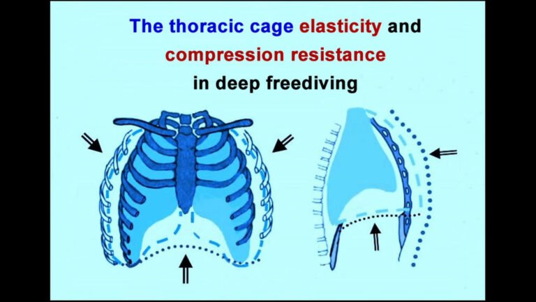 Useful tips to avoid lung squeeze and lung over-expansion in deep freediving