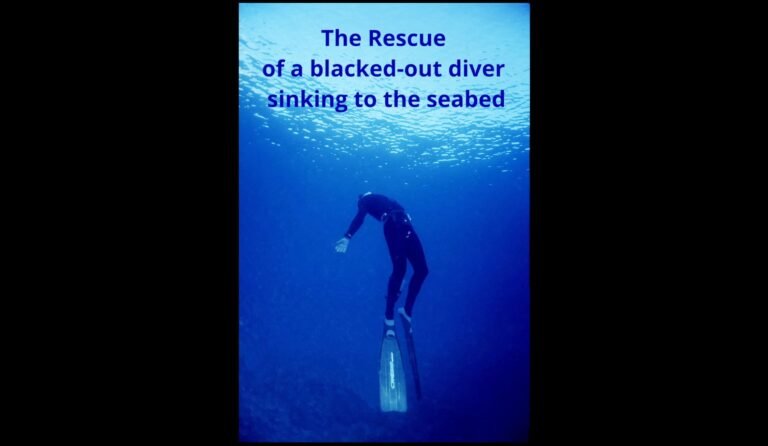 The rescue diver