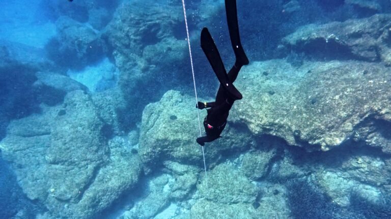 Free immersion diving
