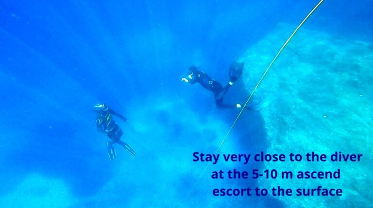 The buddy system for a deep freedive