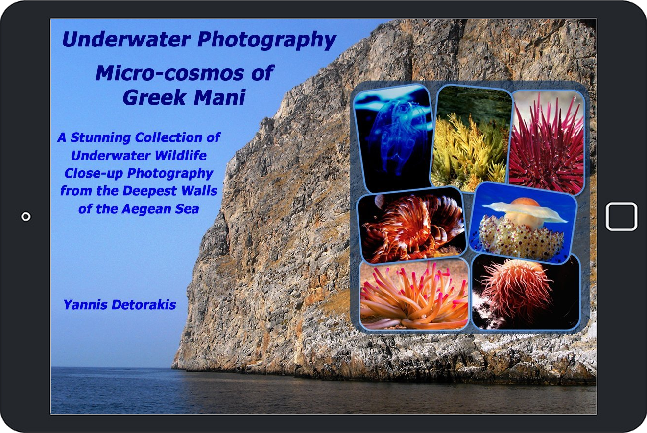 Microcosmos of Greek Mani